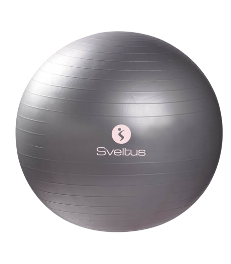 Gymball Gris Ø65cm Default Title - SVELTUS - Market Fit