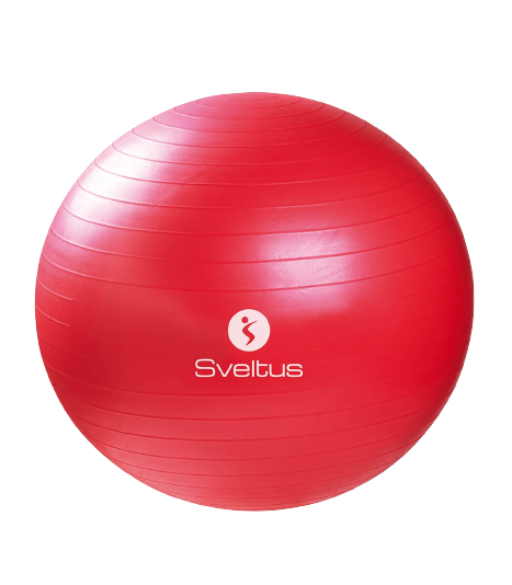 Gymball Rouge Ø65cm Default Title - SVELTUS - Market Fit