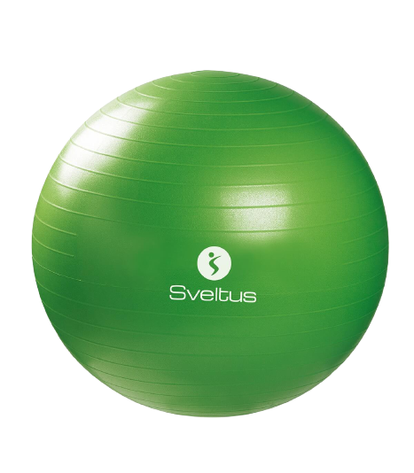 Gymball Vert Ø65cm Default Title - SVELTUS - Market Fit
